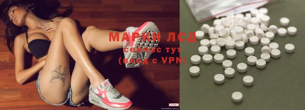 прущие грибы Аркадак