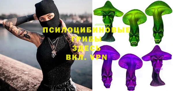 прущие грибы Аркадак