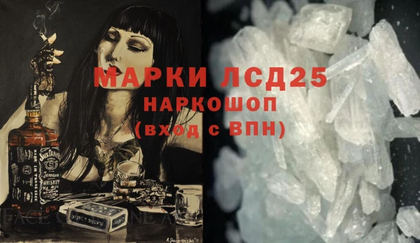 прущие грибы Аркадак