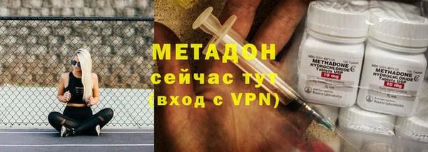 прущие грибы Аркадак